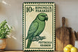 A green parrot is depicted on a sign with the text "10c RINGNECK PARAKEEET PSITACULA KRAMERI"