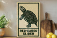 A sign with a turtle illustration and the text "RED-EARED SLIDER" is displayed on a shelf next to a wooden cutting board and some potted plants.