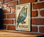 A 25c postage stamp featuring a blue and green budgie bird is displayed on a brick wall.