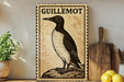 a framed illustration of a penguin, a bird species that is native to the southern parts of the world, including the Galapagos Islands.