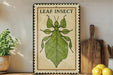 A framed illustration of a leaf insect is displayed on a shelf, accompanied by a wooden cutting board, a potted plant, and some lemons.