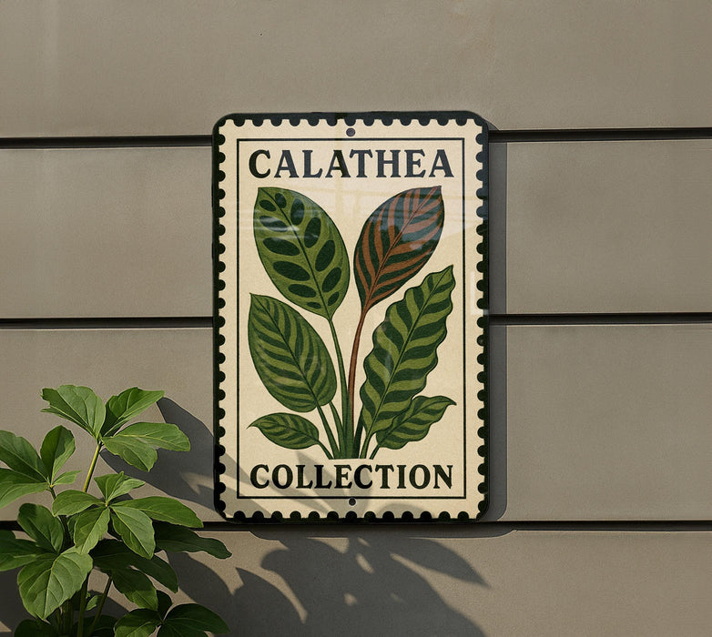 a sign with a plant illustration and the text "CALAThea Collection" on a wall.