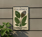a sign with a plant illustration and the text "CALAThea Collection" on a wall.