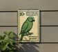 A green parrot is depicted on a sign with the text "10c RINGNECK PARAKEET PSITTACULA KRAMERI"