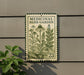 a sign for a medicinal herb garden, with a plant in the foreground.