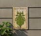 a leaf insect on a sign, which is mounted on a wall.