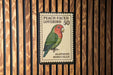 A postage stamp featuring a colorful parrot, specifically a Lovebird, is displayed on a wooden wall.