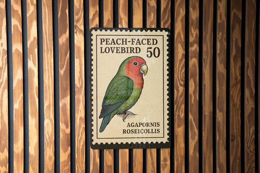 A postage stamp featuring a colorful parrot, specifically a Lovebird, is displayed on a wooden wall.