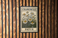 A framed image of a chamomile flower patch is displayed on a wooden wall.