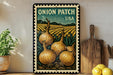 A framed illustration of onions growing in a field, with a vintage-style border, is displayed on a shelf next to a wooden cutting board and a potted plant.