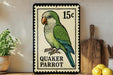 A postage stamp featuring a Quaker Parrot, with a price of 15 cents, is displayed on a shelf next to a wooden cutting board and some lemons.