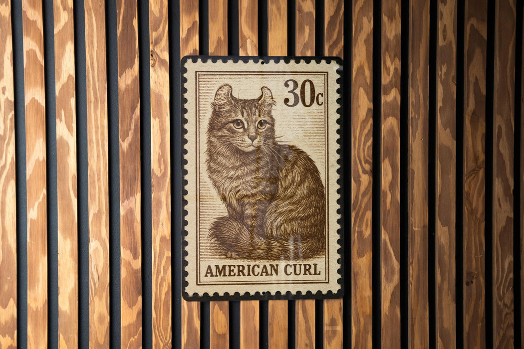 A 30c American curl postage stamp is displayed on a wooden wall.
