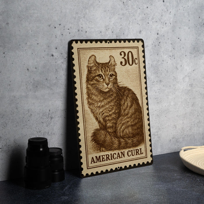 A wooden postcard featuring an illustration of a cat, with the text "AMERICAN CURL" printed on it, is displayed on a table next to some black camera lenses.
