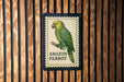 a poster of an Amazon parrot, which is a type of green parrot native to South America.