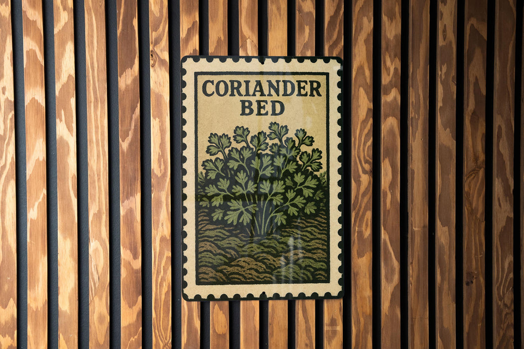 a coriander plant on a wooden wall, with a vintage-style stamp-like design above it.