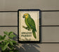 a large, colorful parrot perched on a branch, with the text "AMAZON PARrot" displayed below the illustration.