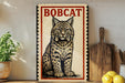 a framed illustration of a bobcat, a type of wild cat, on a wooden surface.