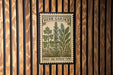 A vintage-style herb garden poster is displayed on a wooden wall, featuring illustrations of parsley, rosemary, and thyme.