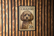 a small, curly-haired dog with a textured, wooden background.