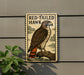 a sign with a picture of a red-tailed hawk, mounted on a wall.