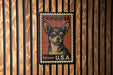 A Chihuahua dog poster is displayed on a wooden wall, featuring the text "CHIHUAHUA forever U.S.A."