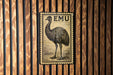 a large emu, a type of large flightless bird, depicted in a vintage-style stamp-like design.