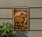 a sign with a picture of a capybara, a type of rodent, mounted on a wall.