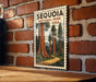 A framed vintage postage stamp depicting the Sequoia National Park in the United States, with a wooden table and a brick wall in the background.