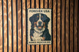 A poster of a Bernese Mountain Dog is displayed on a wooden wall.