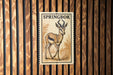 A poster of a gazelle or antelope, with the text "SPRINGBOK" printed on it, is displayed on a wooden wall.