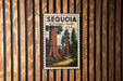 A vintage-style postage stamp featuring a scenic image of sequoia trees in Sequoia National Park, USA.