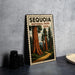 A vintage-style metal sign depicting the Sequoia National Park in the USA, featuring a scenic illustration of towering sequoia trees and a winding path.
