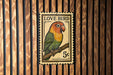 A colorful postage stamp featuring a parrot perched on a branch, with the text "LOVE BIRD" and the denomination of 5 cents.