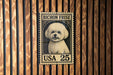 A Bichon Frise dog is depicted on a postage stamp, which is affixed to a wooden wall.