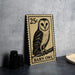 A 25c postage stamp featuring an illustration of a barn owl, placed on a table next to some black camera lenses.