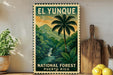 A vintage-style poster of the National Forest in Puerto Rico, featuring a palm tree and a waterfall, is displayed on a wall next to a wooden cutting board and some potted plants.