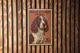 A brown and white English Springer Spaniel dog is depicted on a brown and white postage stamp, which is affixed to a wooden wall.