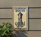 a sign with a squid illustration and the text "Common Squid" and "Loligo Vulgaris" on it, mounted on a wall.