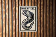 a sign with a fish illustration and the text "Moray Eel" on it, mounted on a wooden wall.