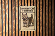A sign for a Norwich Terrier is displayed on a wooden wall.