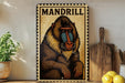a framed illustration of a mandrill, a type of primate, on a wooden surface.