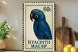 A postage stamp featuring a blue parrot, with the text "HYACINTH MACAW" printed on it.