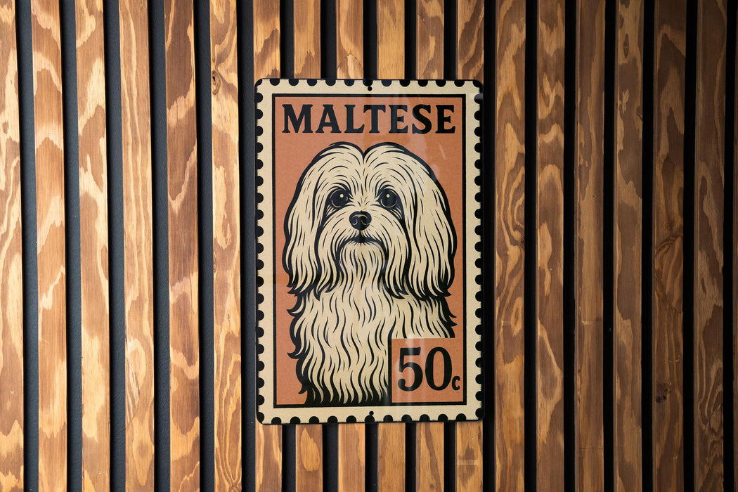 A framed image of a Maltese dog, with the text "MALTESE" and "50c" printed on it, is displayed on a wooden wall.