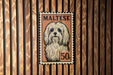 A framed image of a Maltese dog, with the text "MALTESE" and "50c" printed on it, is displayed on a wooden wall.
