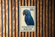 A postage stamp featuring a blue parrot, specifically a hyacinth macaw, is displayed on a wooden wall.
