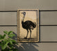 a large, detailed illustration of an ostrich on a wall.