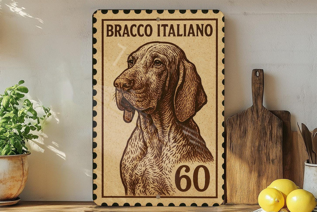 A framed image of a bracco Italiano dog, with the number 60 below the dog's head.