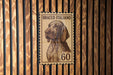 A stamp featuring a dog's portrait, with the text "BRACCO ITALIANO" and the number "60" printed on it, is displayed on a wooden surface.