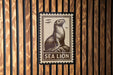 A sea lion stamp is displayed on a wooden wall.