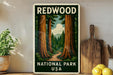 A vintage-style sign for Redwood National Park in the USA, featuring a scenic illustration of towering redwood trees with a winding path leading through the forest.